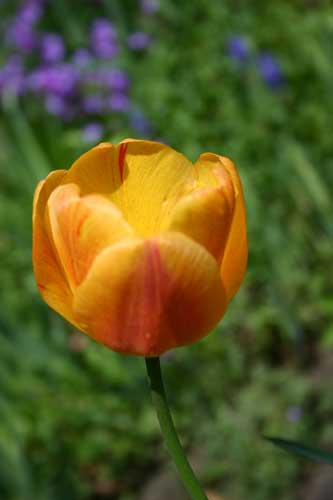 IMG_5329.jpg