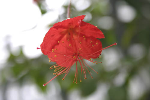 IMG_6657.jpg