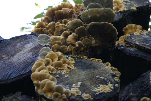 IMG_5750.jpg