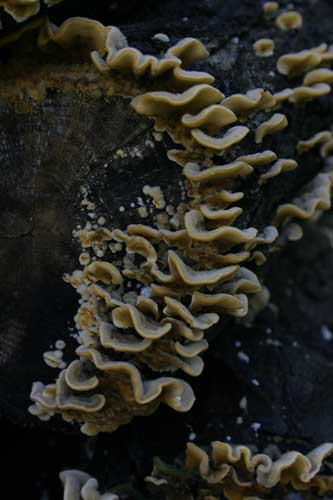IMG_5761.jpg