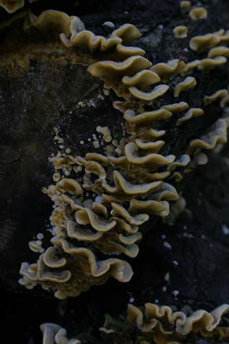 IMG_5762.jpg