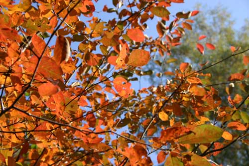 IMG_4762.jpg