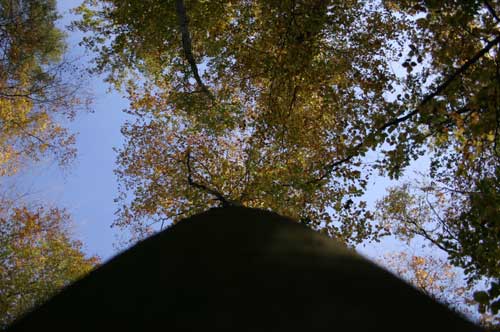 IMG_4943.jpg