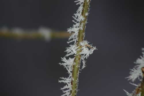IMG_5134.jpg